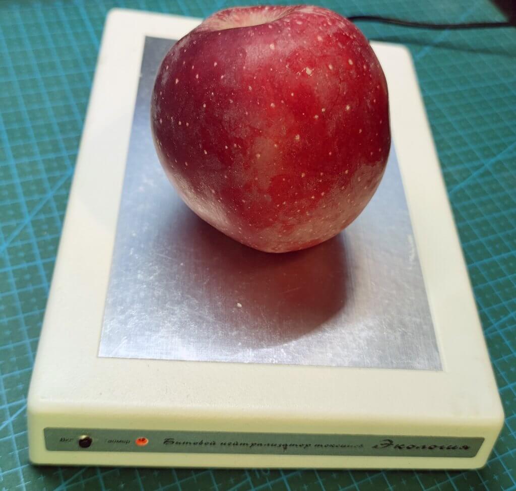 Экология — бытовой нейтрализатор токсинов